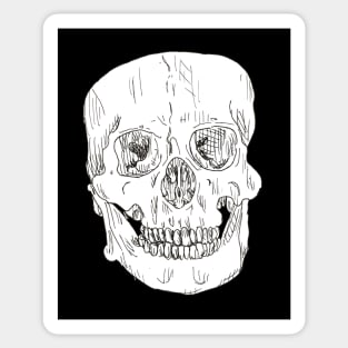 Skull Line Drawing Sticker